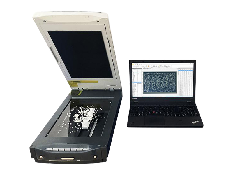 Rice appearance quality tester