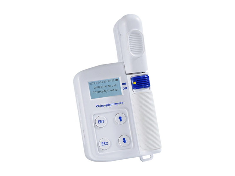 Chlorophyll detector
