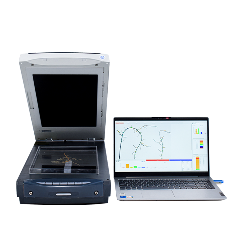 Root Analysis System