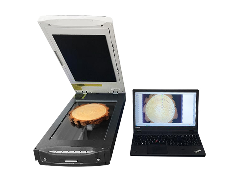 Plant annual wheel analyzer
