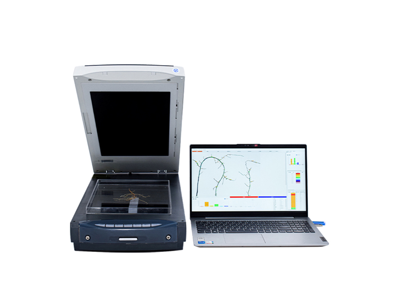 Root Analysis System
