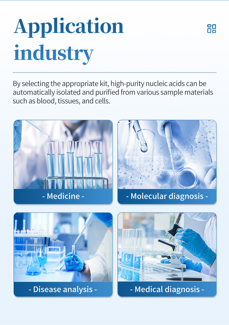 Clinical molecular diagnostics laboratory workflow showing HM-TQ16 integrated into PCR testing pipeline