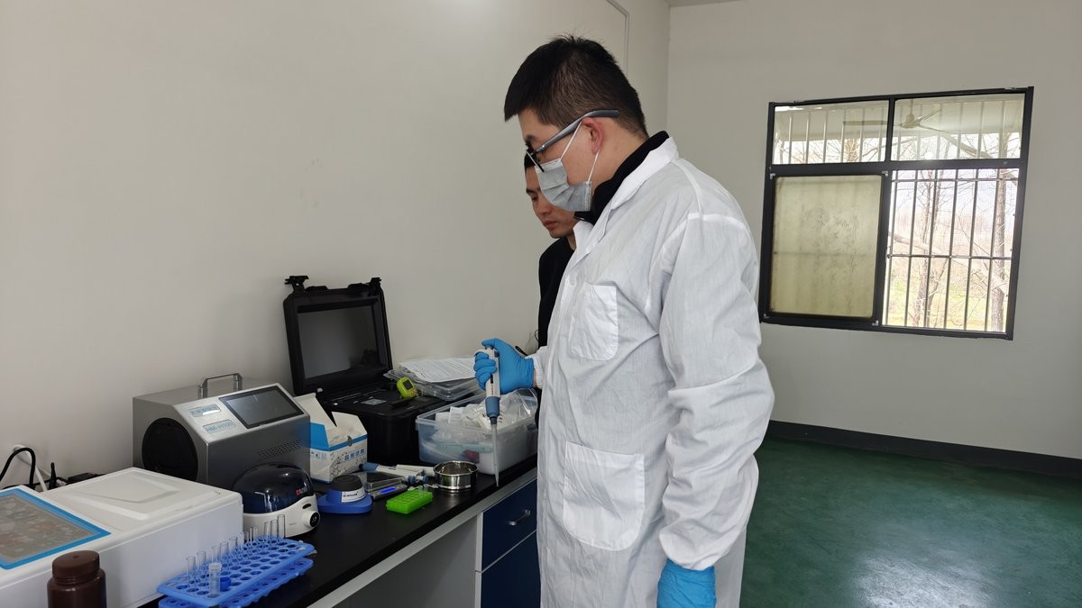 Technicians operating grain safety and moisture instruments at Tongbai rice seed farm