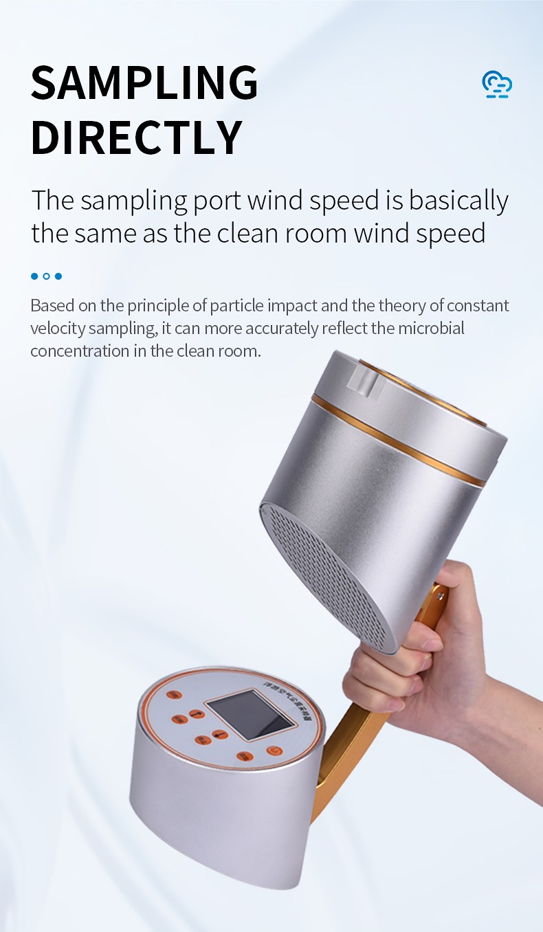 Removable perforated sampling head for air collection